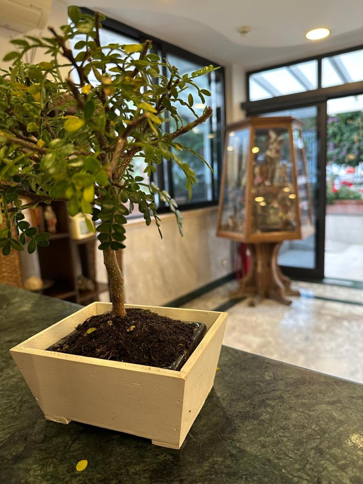 Hotel Clinton Casoria Ngoại thất bức ảnh